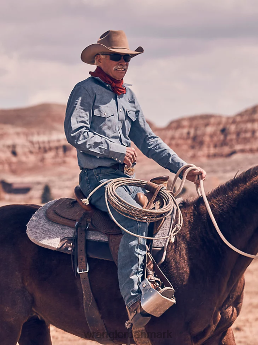 tøj Wrangler cowboy-snit, fast finish, langærmet western-snaps solid arbejdsskjorte chambray blå (ms70919) Mænd 06DT4419